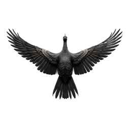 Black Grouse