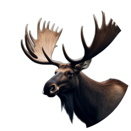 Moose