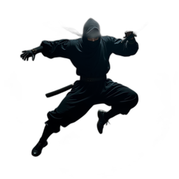 Ninja